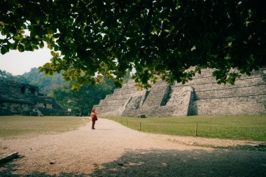 Palenque, Chiapas, Meksika 'daki Maya harabeleri. Yüksek kalite fotoğraf