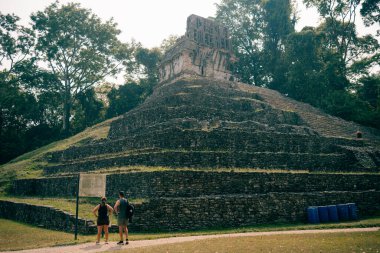 Palenque, Chiapas, Meksika 'daki Maya harabeleri. Yüksek kalite fotoğraf
