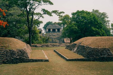Palenque, Chiapas, Meksika 'daki Maya harabeleri. Yüksek kalite fotoğraf