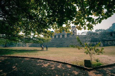 Palenque, Chiapas, Meksika 'daki Maya harabeleri. Yüksek kalite fotoğraf