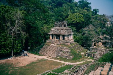 Palenque, Chiapas, Meksika 'daki Maya harabeleri. Yüksek kalite fotoğraf