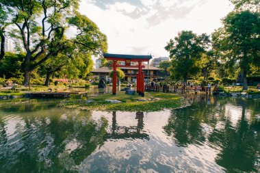 Buenos Aires, Arjantin - 14 Aralık 2023 Buenos Aires Japon Bahçesi, Jardin Japonlar. Yüksek kalite fotoğraf