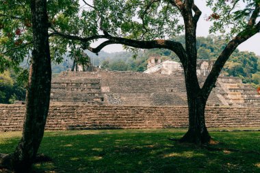 Palenque, Chiapas, Meksika 'daki Maya harabeleri. Yüksek kalite fotoğraf