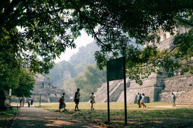 Palenque, Chiapas, Meksika 'daki Maya harabeleri. Yüksek kalite fotoğraf