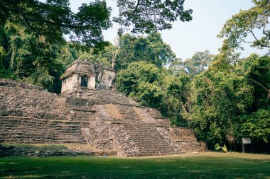 Palenque, Chiapas, Meksika 'daki Maya harabeleri. Yüksek kalite fotoğraf