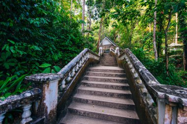 Tayland, Phuket adasındaki şelaleye giden merdivenler. Yüksek kaliteli illüstrasyon