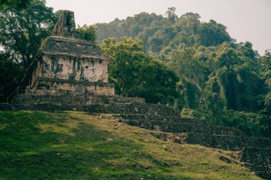 Palenque, Chiapas, Meksika 'daki Maya harabeleri. Yüksek kalite fotoğraf