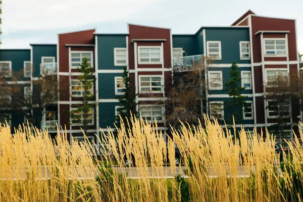 Modern Houses Calgary Dry Grass Foreground High Quality Photo Royalty Free Stock Photos