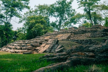 Palenque, Chiapas, Meksika 'daki Maya harabeleri. Yüksek kalite fotoğraf