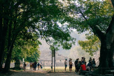 Palenque, Chiapas, Meksika 'daki Maya harabeleri. Yüksek kalite fotoğraf