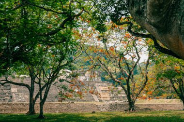Palenque, Chiapas, Meksika 'daki Maya harabeleri. Yüksek kalite fotoğraf