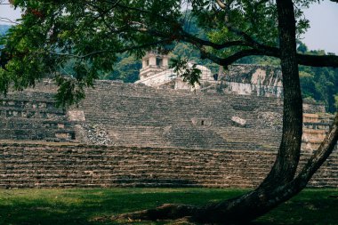 Palenque, Chiapas, Meksika 'daki Maya harabeleri. Yüksek kalite fotoğraf