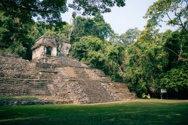 Palenque, Chiapas, Meksika 'daki Maya harabeleri. Yüksek kalite fotoğraf