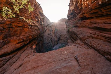 Cafayate, Salta, Arjantin - 2 Mart 2024 - Şeytan 'ın Boğazı Garganta del Diablo adlı kaya oluşumu. Yüksek kalite fotoğraf