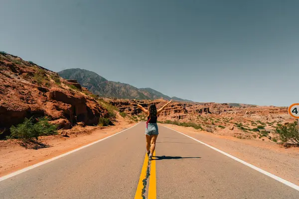 Salta ve Cafayate arasındaki yol, Quebrada de las Conchas National Route 68. Yüksek kalite fotoğraf