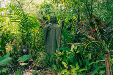 Aluxes Palenque, Meksika 'daki kapı - Mayıs 2023. Yüksek kalite fotoğraf