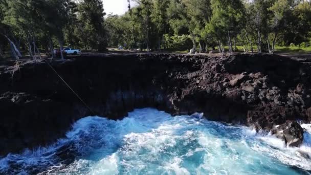 Légi Felvétel Mackenzie Állami Rekreációs Területről Hawaii Szigetről Kiváló Minőségű — Stock videók