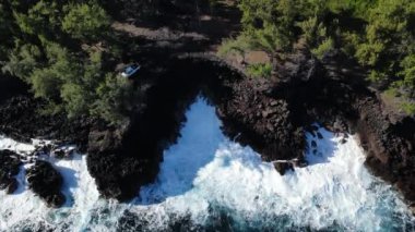 Hawaii 'deki MacKenzie Eyalet Rekreasyon Bölgesi' nin havadan görüntüsü. Yüksek kalite 4k görüntü