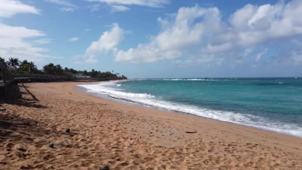Puerto Rico San Jose Yakınlarında Bir Plaj Yüksek Kalite Görüntü — Stok video