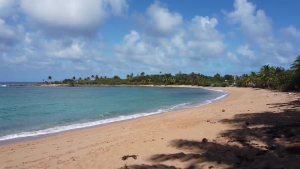 Stranden Nära San José Puerto Rico Högkvalitativ Film — Stockvideo