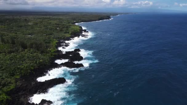 Aerial Coastal Rocky Waves Hawaii Big Island Largest Volcanic Destination — Stock Video