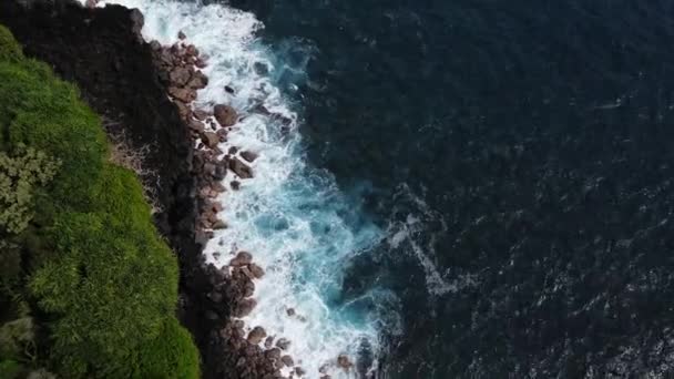 Onde Rocciose Costiere Aeree Hawaii Big Island Più Grande Destinazione — Video Stock