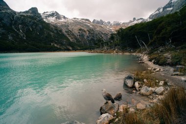 Laguna Esmeralda manzarası. Emerald Gölü - Ushuaia, Arjantin. Yüksek kalite fotoğraf