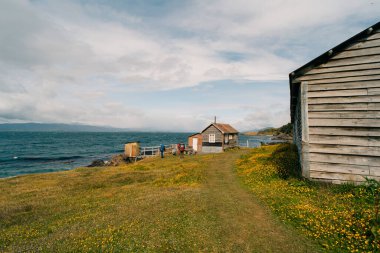 La Estancia Tüneli yolu Tierra del Fuego Ulusal Parkı, Ushuaia - Arjantin - 2 Aralık 2023. Yüksek kalite fotoğraf