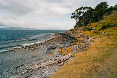Tierra del Fuego Ulusal Parkı, Ushuaia, Arjantin 'de La Estancia Tüneli yolu. Yüksek kalite fotoğraf