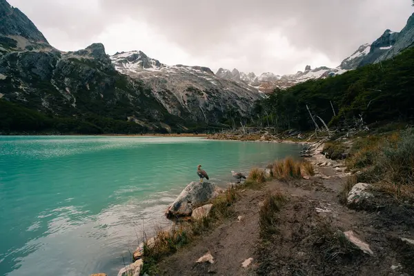 Laguna Esmeralda manzarası. Emerald Gölü - Ushuaia, Arjantin. Yüksek kalite fotoğraf