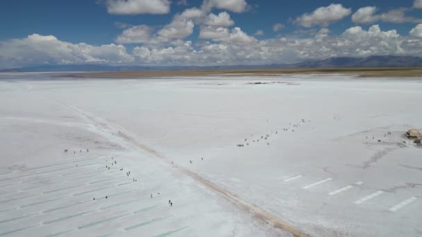 Widok Lotu Ptaka Salinas Grandes Jujuy Argentyna Mar 2Th 2024 — Wideo stockowe
