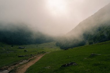 Fransa 'daki Fransız Pireneleri' nde bir vadide alçak bulutlar. Yüksek kalite fotoğraf