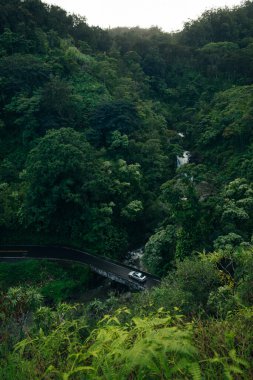 Hana, Maui, Hawai yolundaki şelale. Yüksek kalite fotoğraf