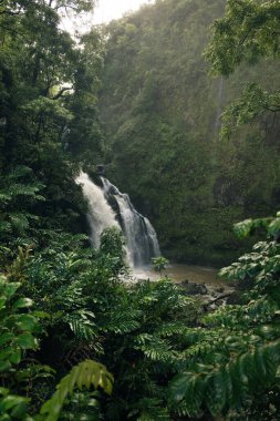 Hana, Maui, Hawai yolundaki şelale. Yüksek kalite fotoğraf