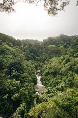 Hana, Maui, Hawai yolundaki şelale. Yüksek kalite fotoğraf