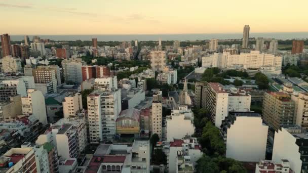 Antenn Utsikt Från Helikoptern För Tigre Buenos Aires Argentina — Stockvideo