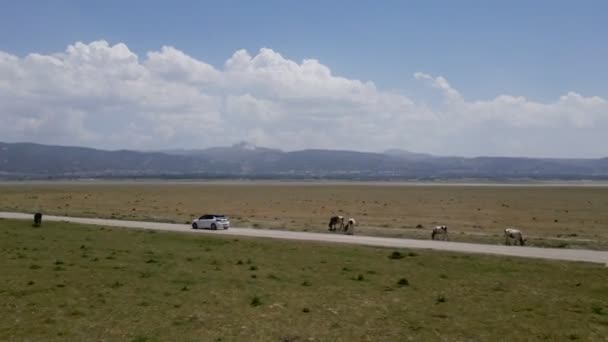 Viaggio Auto Attraverso Steppa Verso Montagne Turchia — Video Stock