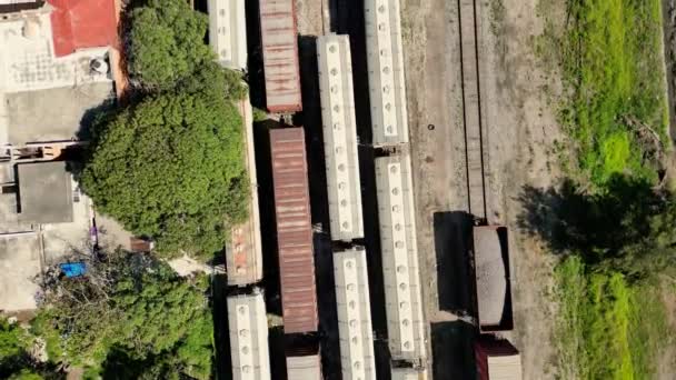 Widok Lotu Ptaka Wagonów Pociągu Towarowego Meksyku — Wideo stockowe