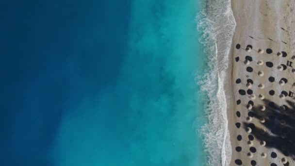 Kumsalda Hindinin Içinde Güneşlenenlerin Hava Manzarası — Stok video