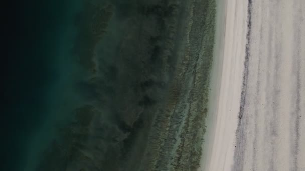 Вид Парашуту Піщаному Пляжі Олюденіз Туреччина — стокове відео
