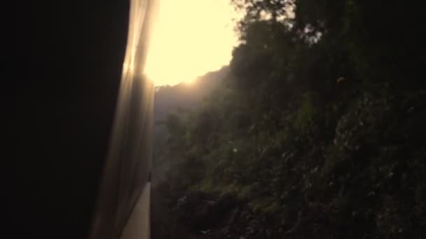 Trem Carga Passa Pela Floresta Vagões Com Entrega Mercadorias — Vídeo de Stock