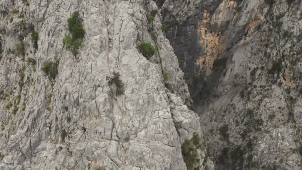 Koprulu Canyon National Park Bryggan Och Vattenresurser Manavgat Antalya — Stockvideo