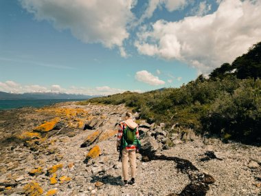 Ulusal Park Tierra del Fuego, Arjantin 'deki Lapataia koyunda yürüyüş yapan biri. Yüksek kalite fotoğraf