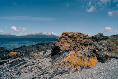 Arjantin, Tierra del Fuego Ulusal Parkı 'ndaki Lapataia körfezi. Yüksek kalite fotoğraf
