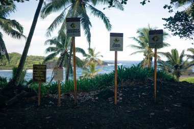 Maui, Hawaii 'de Keanae Gözcülük. Yüksek kalite fotoğraf