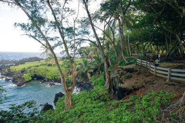 Keanae Lookout in maui, hawaii. High quality photo clipart