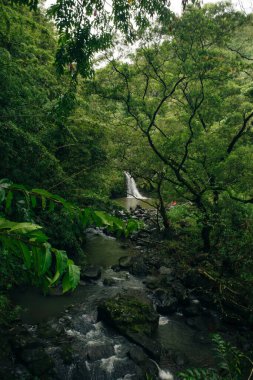 Hana, Maui, Hawai yolundaki şelale. Yüksek kalite fotoğraf