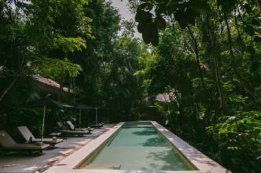  Ormanda yüzme havuzu manzarası. Yüksek kalite fotoğraf