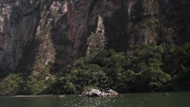 Sumidero Canyon Chiapas Mexiko — Stockvideo
