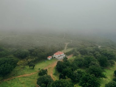 Madeira, Fanal Ormanı. Fanal 'daki Misty Forest' ın hava manzarası. Yüksek kalite fotoğraf